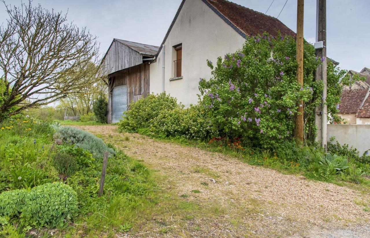 Le Beverly A 9 Min De Beauval Châteauvieux Exteriör bild